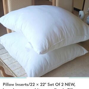 Pillow Inserts/22 × 22" Set Of 2 NEW, brand-acanva...white,non-allergic Fill